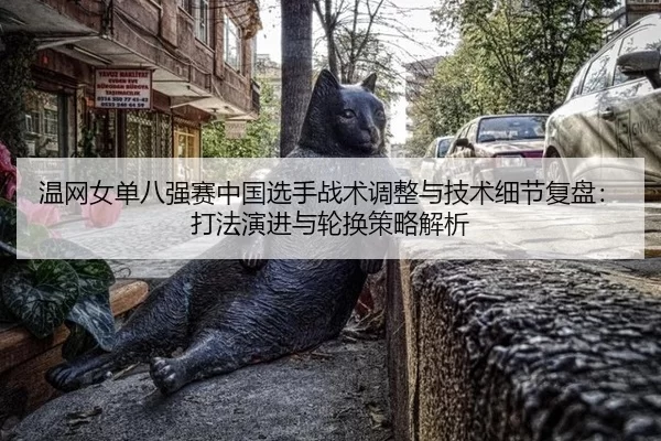 温网女单八强赛中国选手战术调整与技术细节复盘：打法演进与轮换策略解析