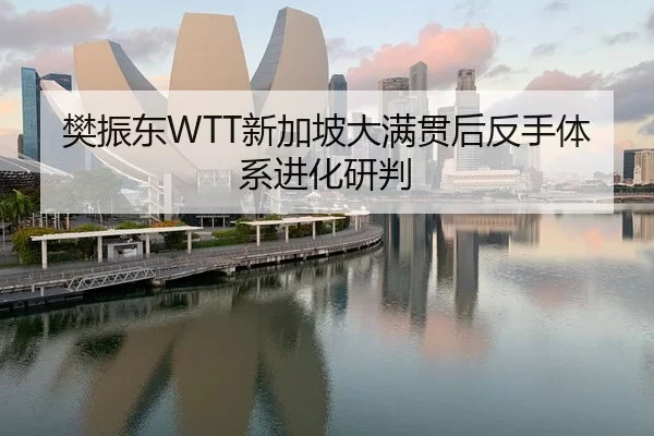 樊振东WTT新加坡大满贯后反手体系进化研判