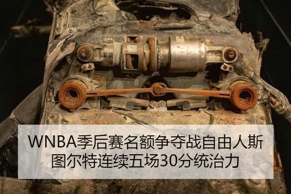 ji-hou-sai-ming-e-zheng-duo-zhan-zi-you-ren-si-tu-er-te-lian-xu-wu-chang-fen-tong-zhi-li-3-609.jpg